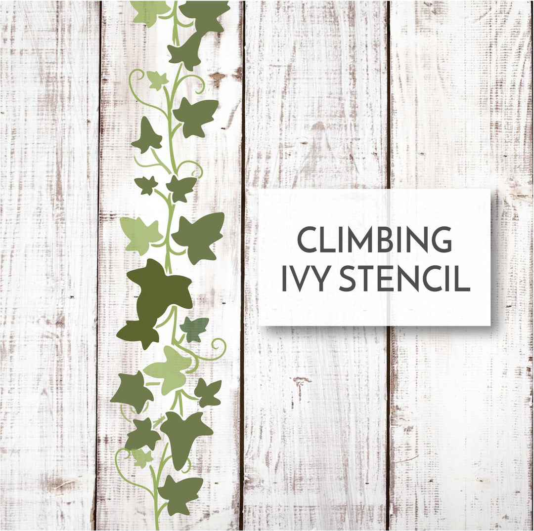 WallCutz  Climbing Ivy Vine / Pattern Stencil Stencil