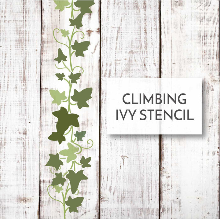 WallCutz  Climbing Ivy Vine / Pattern Stencil Stencil