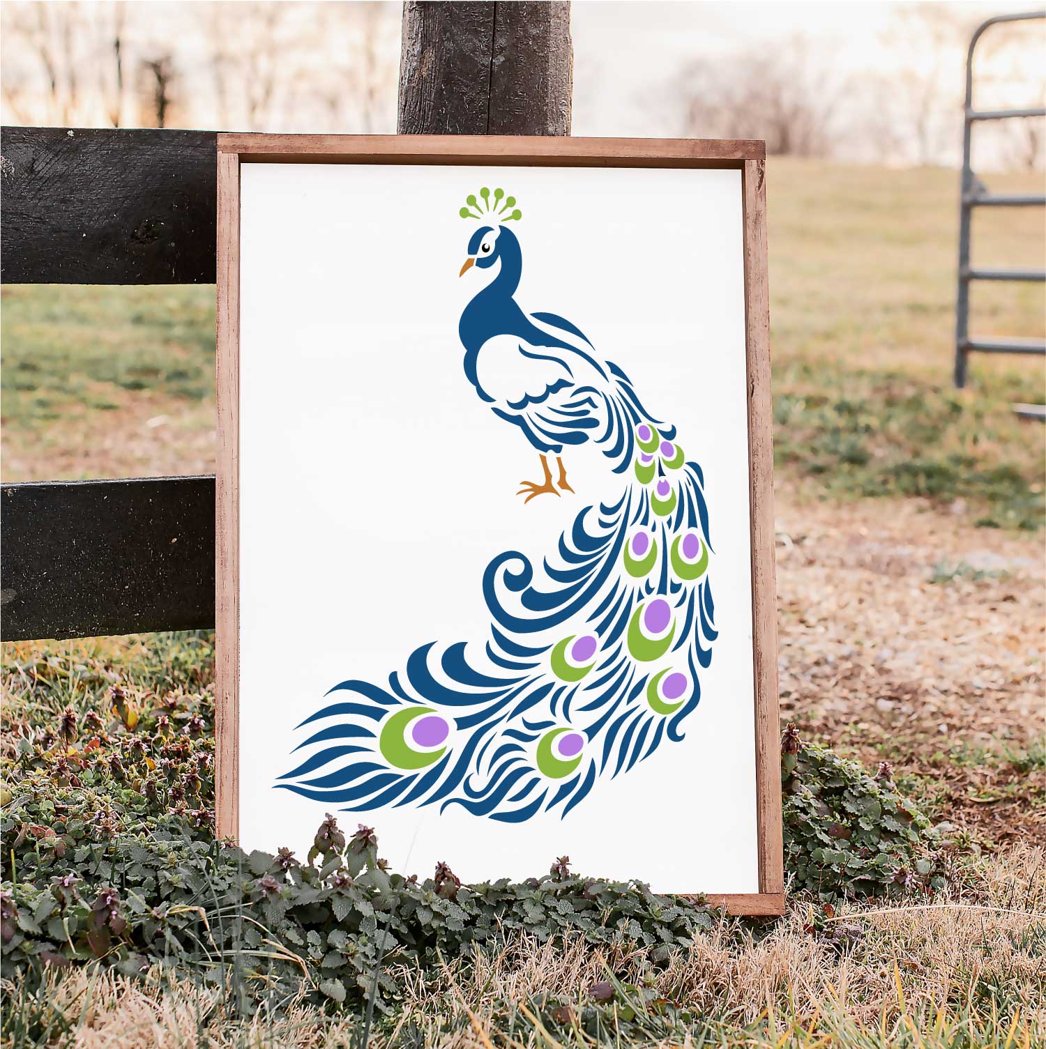 peacock stencil